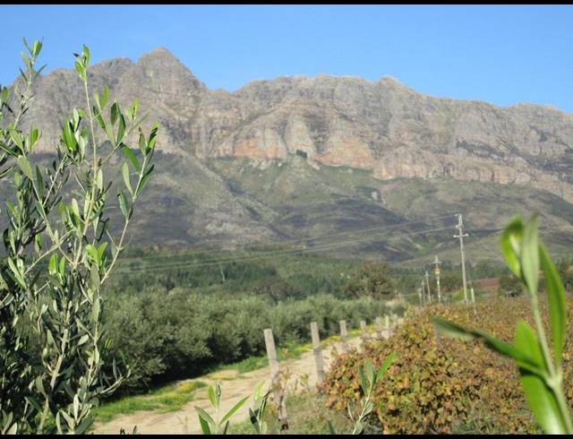 FARM FOR SALE IN WELLINGTON